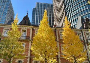autumn skyline with historic building and ginkgo trees